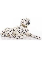 Figurka Dalmatyńczyk