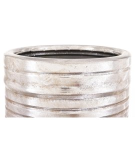 Parasolnik Parasolnik