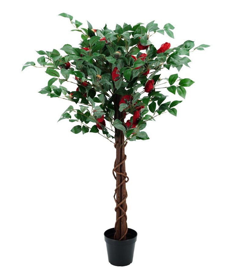 Drzewko Dekoracyjne Kamelia