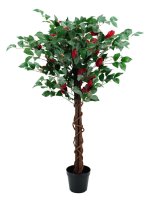 Drzewko Dekoracyjne Kamelia