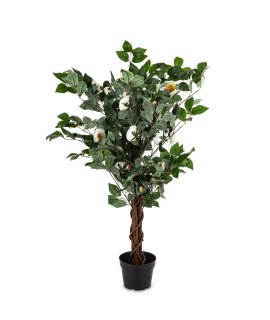 Drzewko Dekoracyjne Kamelia