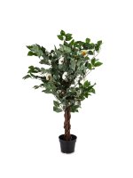 Drzewko Dekoracyjne Kamelia