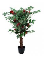 Drzewko Dekoracyjne Kamelia