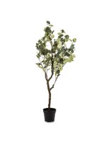 Drzewko Dekoracyjne Eukaliptus