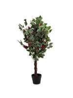 Drzewko Dekoracyjne Kamelia