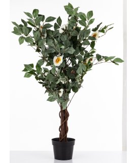 Drzewko Dekoracyjne Kamelia