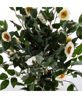 Drzewko Dekoracyjne Kamelia