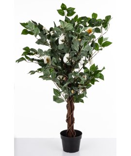 Drzewko Dekoracyjne Kamelia