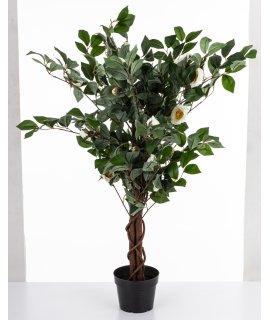 Drzewko Dekoracyjne Kamelia