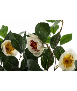 Drzewko Dekoracyjne Kamelia