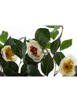 Drzewko Dekoracyjne Kamelia