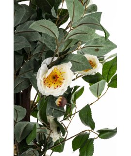 Drzewko Dekoracyjne Kamelia