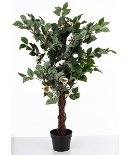 Drzewko Dekoracyjne Kamelia