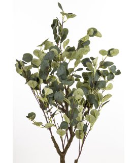 Drzewko Dekoracyjne Eukaliptus