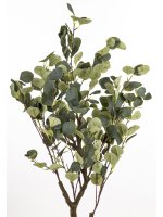 Drzewko Dekoracyjne Eukaliptus