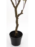 Drzewko Dekoracyjne Eukaliptus