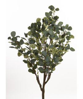 Drzewko Dekoracyjne Eukaliptus