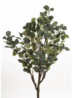 Drzewko Dekoracyjne Eukaliptus