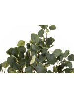 Drzewko Dekoracyjne Eukaliptus