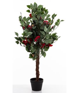 Drzewko Dekoracyjne Kamelia