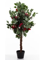 Drzewko Dekoracyjne Kamelia