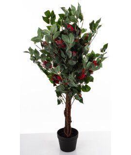 Drzewko Dekoracyjne Kamelia