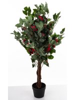 Drzewko Dekoracyjne Kamelia