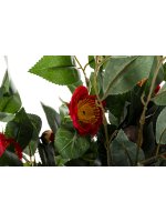 Drzewko Dekoracyjne Kamelia