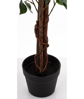 Drzewko Dekoracyjne Kamelia