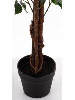 Drzewko Dekoracyjne Kamelia