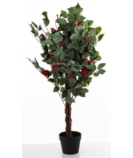 Drzewko Dekoracyjne Kamelia