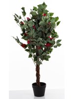 Drzewko Dekoracyjne Kamelia