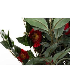 Drzewko Dekoracyjne Kamelia