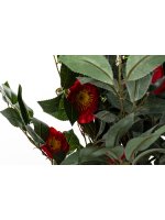 Drzewko Dekoracyjne Kamelia