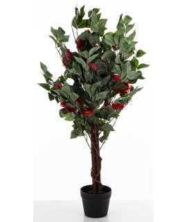 Drzewko Dekoracyjne Kamelia