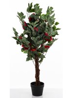 Drzewko Dekoracyjne Kamelia