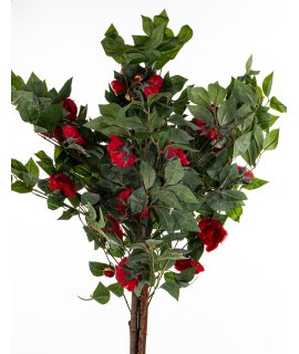 Drzewko Dekoracyjne Kamelia