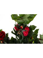 Drzewko Dekoracyjne Kamelia