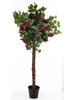 Drzewko Dekoracyjne Kamelia