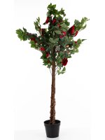 Drzewko Dekoracyjne Kamelia