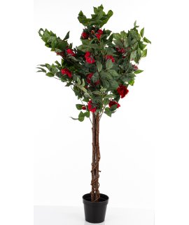 Drzewko Dekoracyjne Kamelia