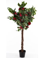 Drzewko Dekoracyjne Kamelia