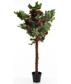 Drzewko Dekoracyjne Kamelia