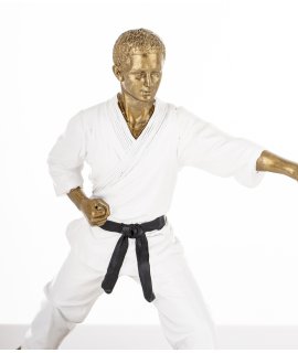 Figurka Mężczyzna Karateka Figurka Mężczyzna Karateka