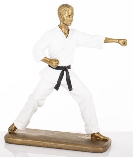 Figurka Mężczyzna Karateka Figurka Mężczyzna Karateka