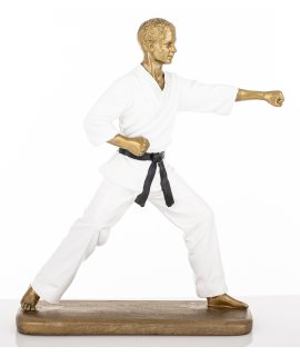 Figurka Mężczyzna Karateka Figurka Mężczyzna Karateka