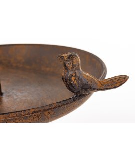 Poidełko Dla Ptaków Poidełko Dla Ptaków