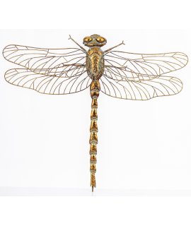 Art.dekoracyjny Ważka Art.dekoracyjny Ważka