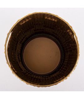 Parasolnik Parasolnik