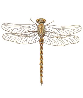 Art.dekoracyjny Ważka Art.dekoracyjny Ważka